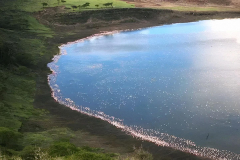 Abijata–Shalla Lakes 2-Day Birdwatching & Wildlife Tour