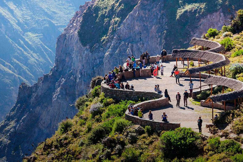Da Arequipa: Colca Canyon tutto incluso | Giornata intera |