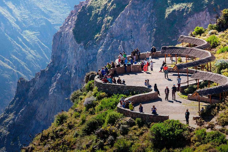 Da Arequipa: Colca Canyon tutto incluso | Giornata intera |