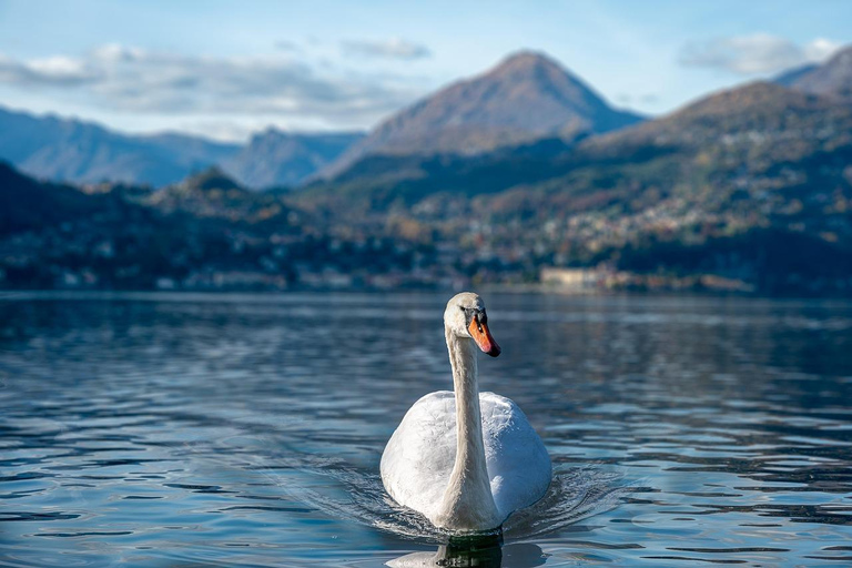 From Salzburg: Private Day Trip to Hallstatt