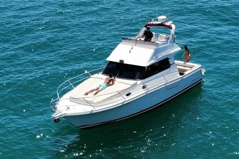 Benalmádena: Dolphin Watching a Yacht with Snacks and Drinks