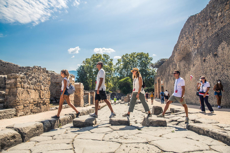 Sorrento: całodniowa wycieczka do Pompejów i WezuwiuszaWycieczka w języku angielskim