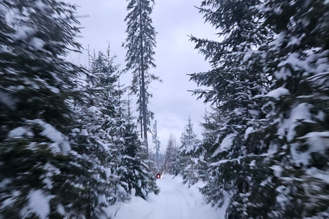 Krakow: Zakopane Snowmobile & Kulig Day Trip with Dinner