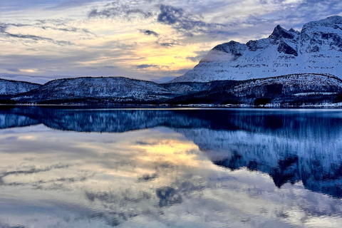 Narvik/Harstad : Excursion d&#039;une journée dans les Fjords avec arrêt à la ferme des rennes