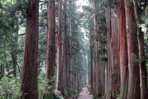 Tokyo: Nikko Craft, Forest Local Food Private Day Experience