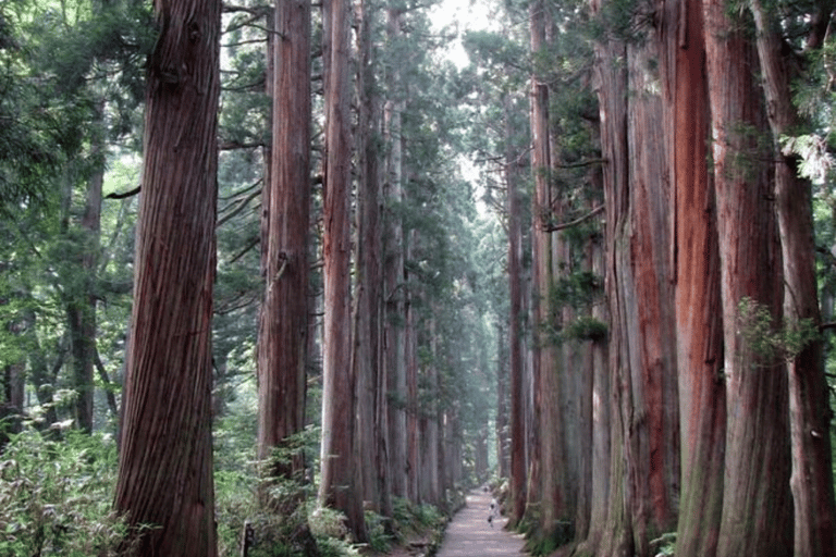 Tokyo: Nikko Craft, Forest Local Food Private Day Experience
