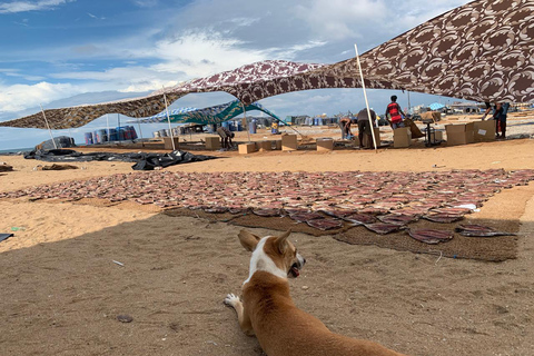 Colombo: Negombo Cultural Photo Tour with Local Lunch