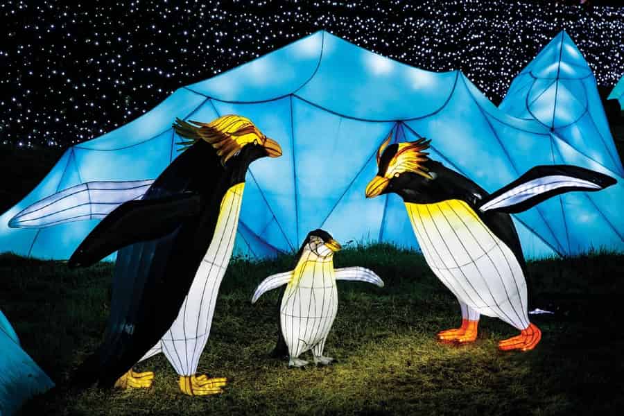 Edinburgh Zoo: Eintrittskarten zu den “Giant Lanterns”. Foto: GetYourGuide Edinburgh Zoo: Eintrittskarten zu den “Giant Lanterns”. Foto: GetYourGuide