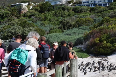 Cape Town: visite privée d'une journée de la péninsule du Cap et des vignoblesExcursion combinée privée d'une journée complète dans la péninsule du Cap et les vignobles