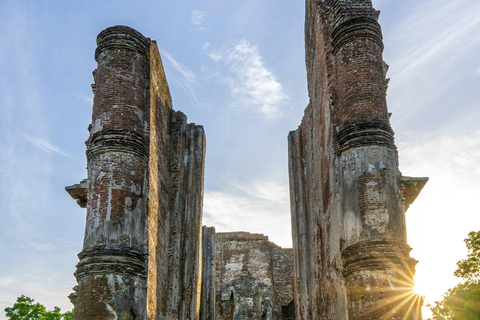 Sigiriya: Polonnaruwa City Tour & Ethical Minneriya Safari Sigiriya: Polonnaruwa Heritage Tour & Elephant Safari