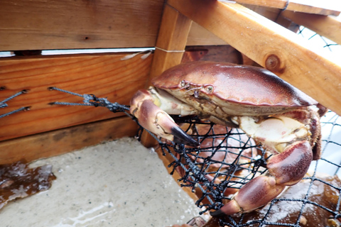 Bergen : visite guidée de la pêche avec cuisine en plein airBergen : excursion de pêche guidée avec cuisine en plein air