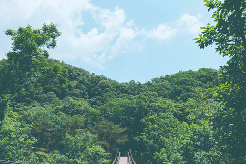 Da Seul: Tour di un giorno della DMZ e del Geoparco UNESCO delle Cascate di JaeinPartenza dalla stazione DHCP Uscita 10