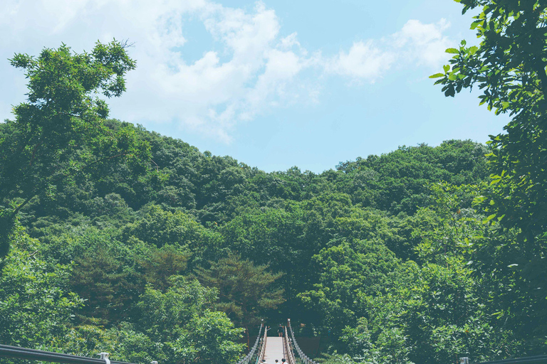 Da Seul: Tour di un giorno della DMZ e del Geoparco UNESCO delle Cascate di JaeinPartenza dalla stazione DHCP Uscita 10