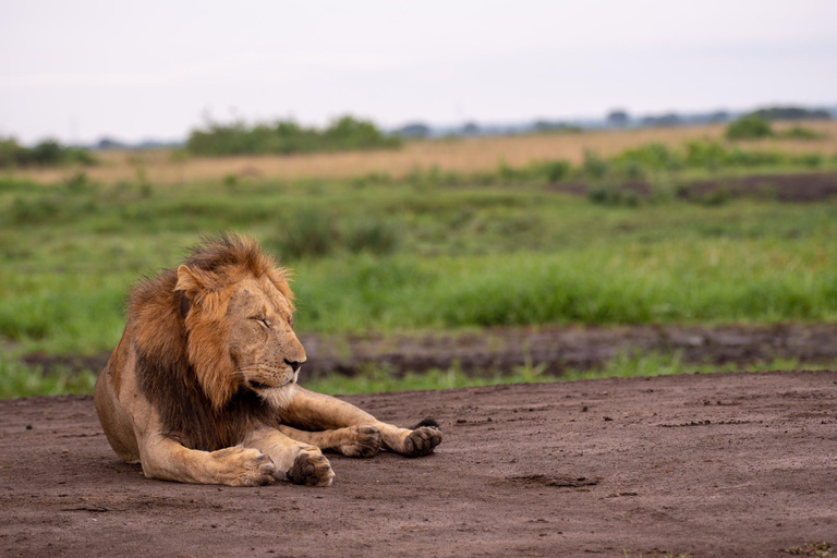 uganda: 10-Day Uganda Safari with Gorilla Trekking