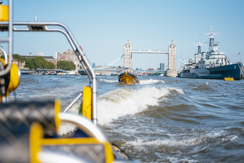 London: 45-Minute Speedboat Sightseeing Tour London: 45-Minute Speedboat Sightseeing Tour - WESTMINSTER