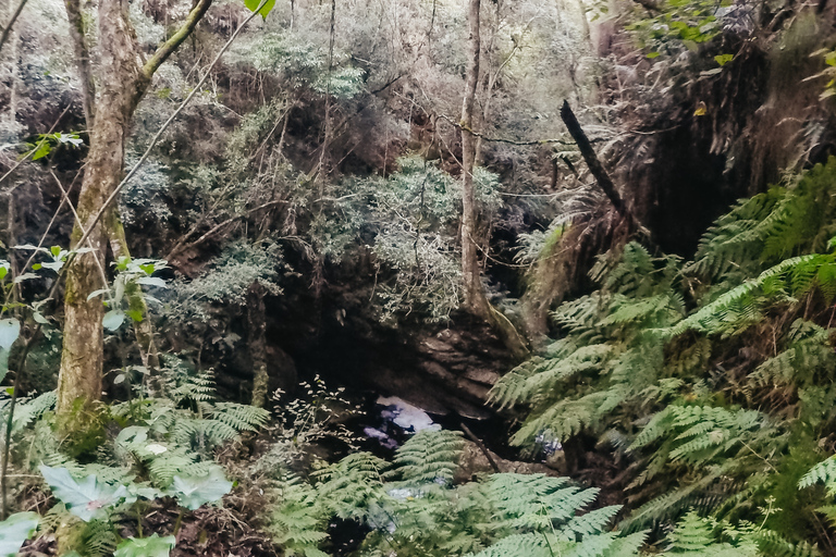 Plettenberg Bay: Canyoning Trip Plettenberg Bay: Standard Canyoning Trip