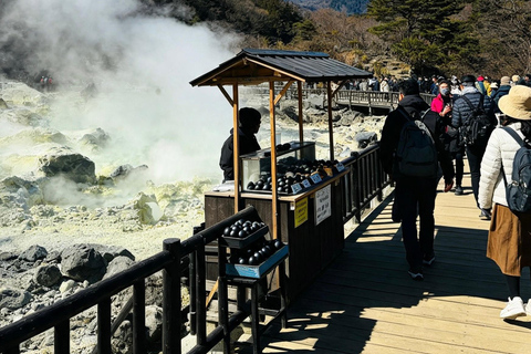 From Tokyo: Mt. Fuji & Hakone Private Day Trip with Driver