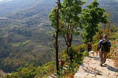 Trekking do acampamento australiano de Pokhara a Dhampus