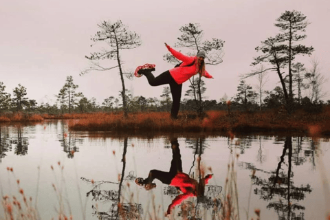 Vanuit Riga: Moerasschoenwandeltocht in Cenas of Ķemeri Bog