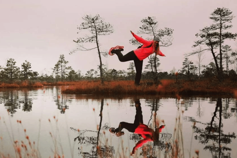 De Riga: Excursão a pé com sapatos de pântano em Cenas ou Ķemeri Bog