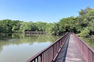 Bangkok: „Green Lung“-Bootstour, Fahrradtour & Naturtour