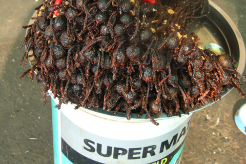 Tempio di Chiso, Neang kmoa e tempio di Taprum Tour storicoTour storico del tempio di Chiso, Neang kmoa e Taprum