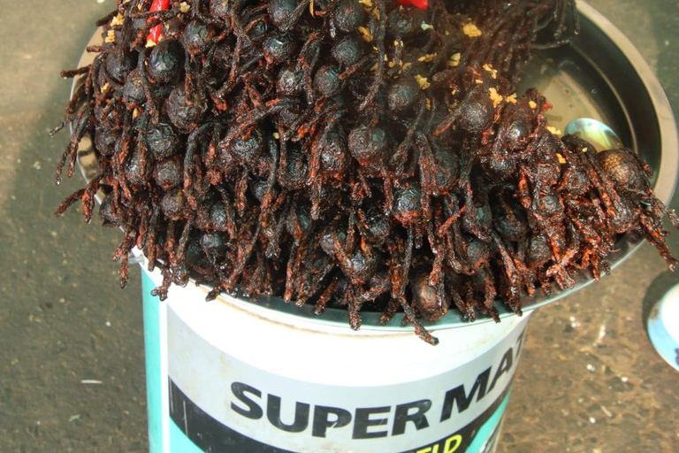 Tempio di Chiso, Neang kmoa e tempio di Taprum Tour storicoTour storico del tempio di Chiso, Neang kmoa e Taprum