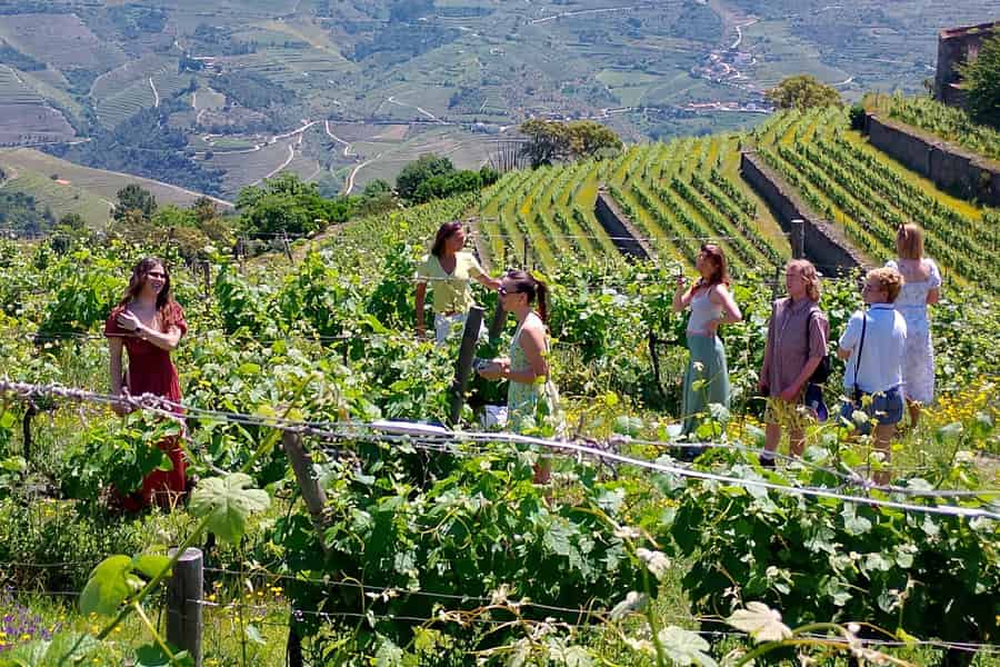 Porto: Tour ins Douro-Tal, 2 Weingüter, Mittagessen und Bootsfahrt. Foto: GetYourGuide Porto: Tour ins Douro-Tal, 2 Weingüter, Mittagessen und Bootsfahrt. Foto: GetYourGuide