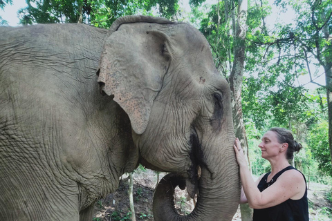 Siem Reap: Experiência ética em um santuário de elefantes