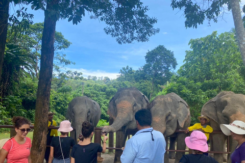 Phuket: Spacer i karmienie etycznych słoni w parku przyrody