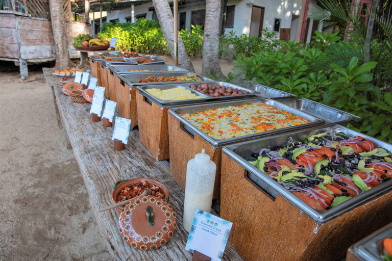 Private: Catamaran Adventure &amp; Beach BBQ at Catalina Island