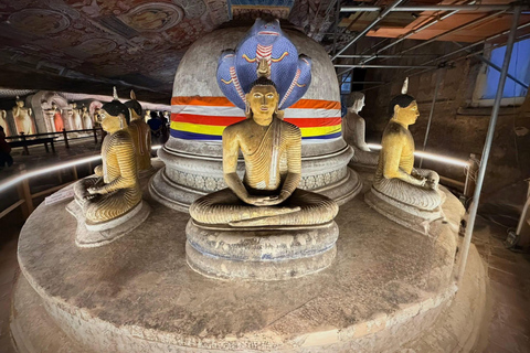 Dambulla: Cave Temple, Ibbankatuwa Tombs & Guided City Tour