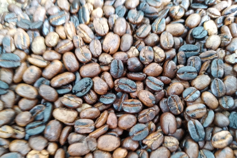 Nairobi: Karura Forest Walk, Waterfall & Coffee Tour