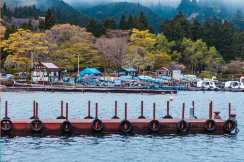 From Tokyo: Hakone, Lake Ashi Private Sightseeing Day Trip.