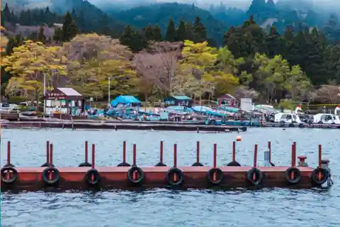 From Tokyo: Hakone, Lake Ashi Private Sightseeing Day Trip.