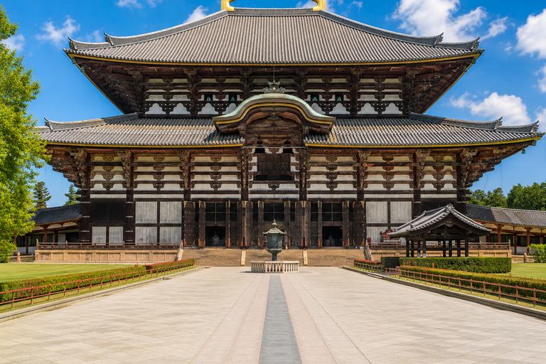 Kyoto/Osaka: Kyoto and Nara Private & Customizable Day Tour