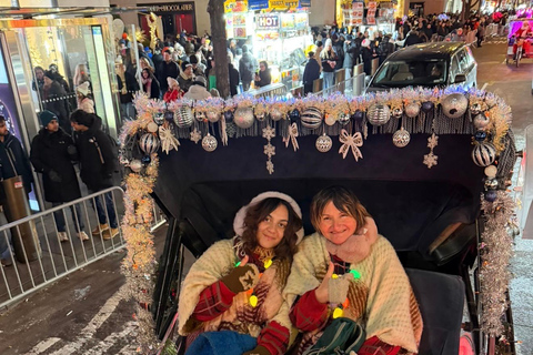 NYC: Central Park Christmas Lights Horse-Drawn Carriage Ride