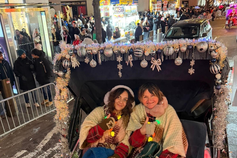 NYC: Central Park Christmas Lights Horse-Drawn Carriage Ride