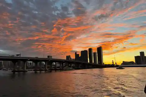 Miami: Millionærboligernes bådtur med Mojito-bar om bord