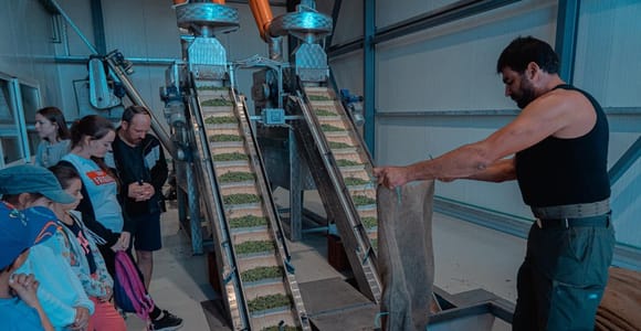 Round-Trip Shuttle: Lyrarakis Winery or Politakis Olive Mill