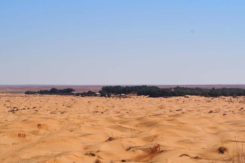 Full Day From Djerba: Ksar Ghilane Oasis & Star Wars Site by JEEP Day Trip from Djerba: Ksar Ghilane Oasis & Star Wars Site by JEEP