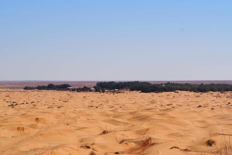 Full Day From Djerba: Ksar Ghilane Oasis & Star Wars Site by JEEP Day Trip from Djerba: Ksar Ghilane Oasis & Star Wars Site by JEEP