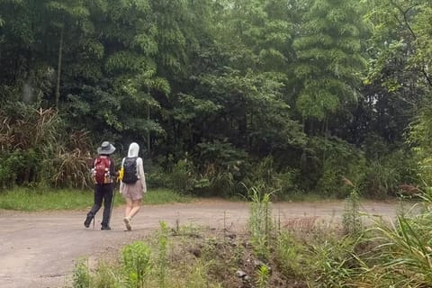 Shanghai: Fengmingshan Immortal Valley Private Day Trip