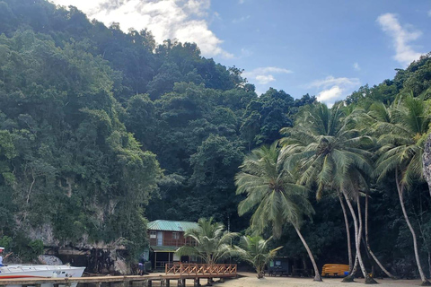 Puerto Plata: Samana, Bacardi Island, and Los Haitises Tour