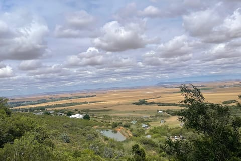 Cape Town: 22 Waterfalls Hike with Transport & Guide