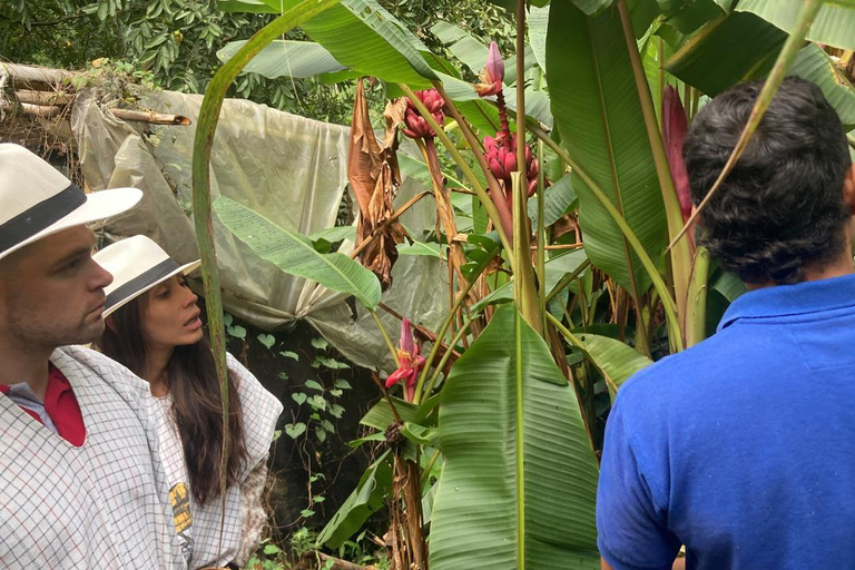 Von Medellín aus - Kaffee Tour: Privater Transport &amp; Verkostung