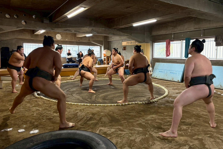 Osaka: Authentic Sumo Morning Practice & Chanko Lunch Authentic Sumo Morning Practice Viewing 【Only viewing】