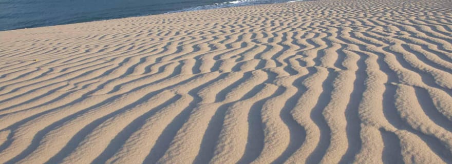 Visite d'une jounée à Jericoacoara : Dunes, lagunes et culture vibrante