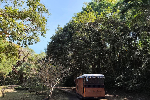 From Manila: Corregidor Island Guided Tour with Lunch
