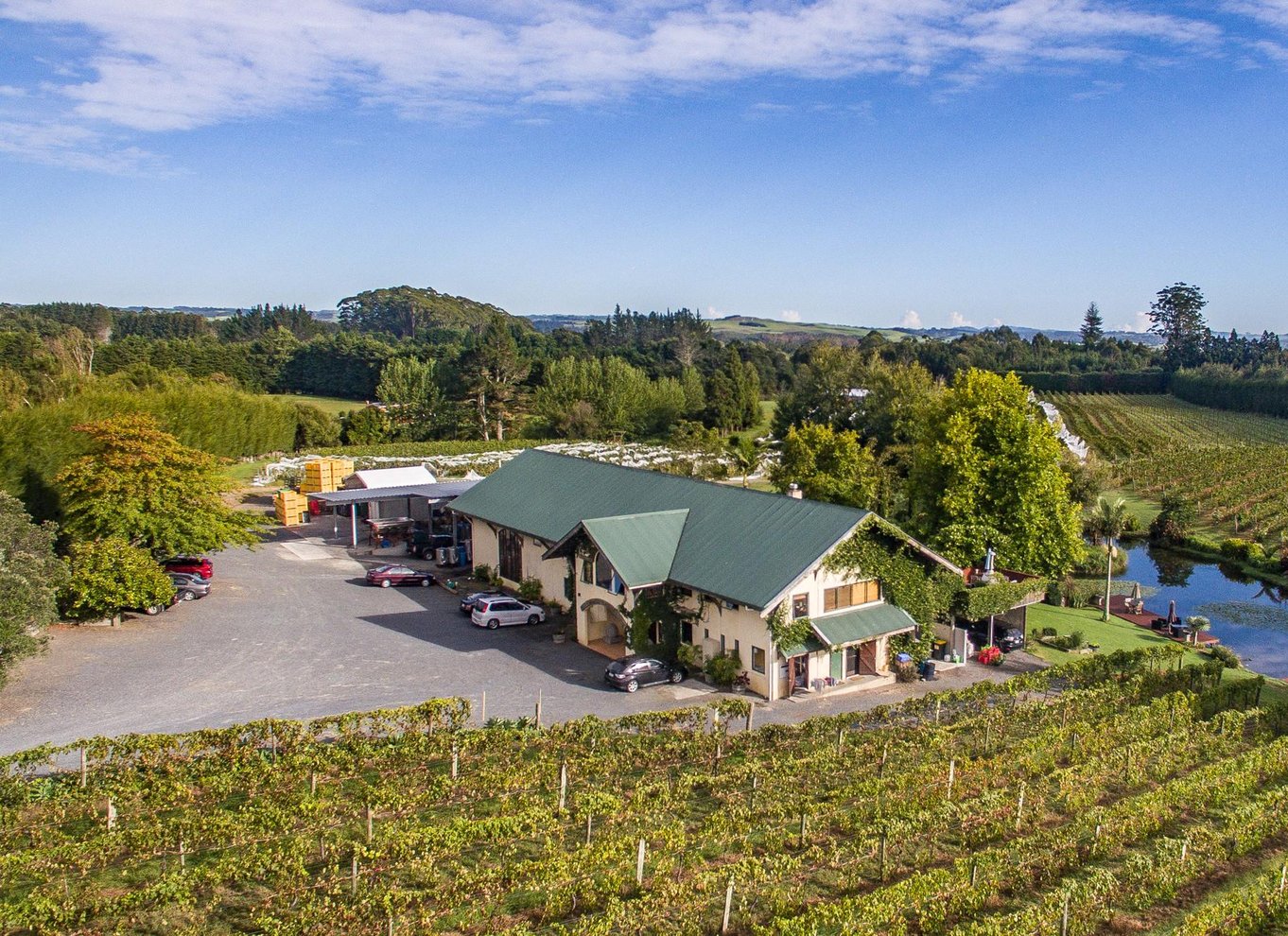 Fra Paihia eller Kerikeri: Bay of Islands Wine Tour